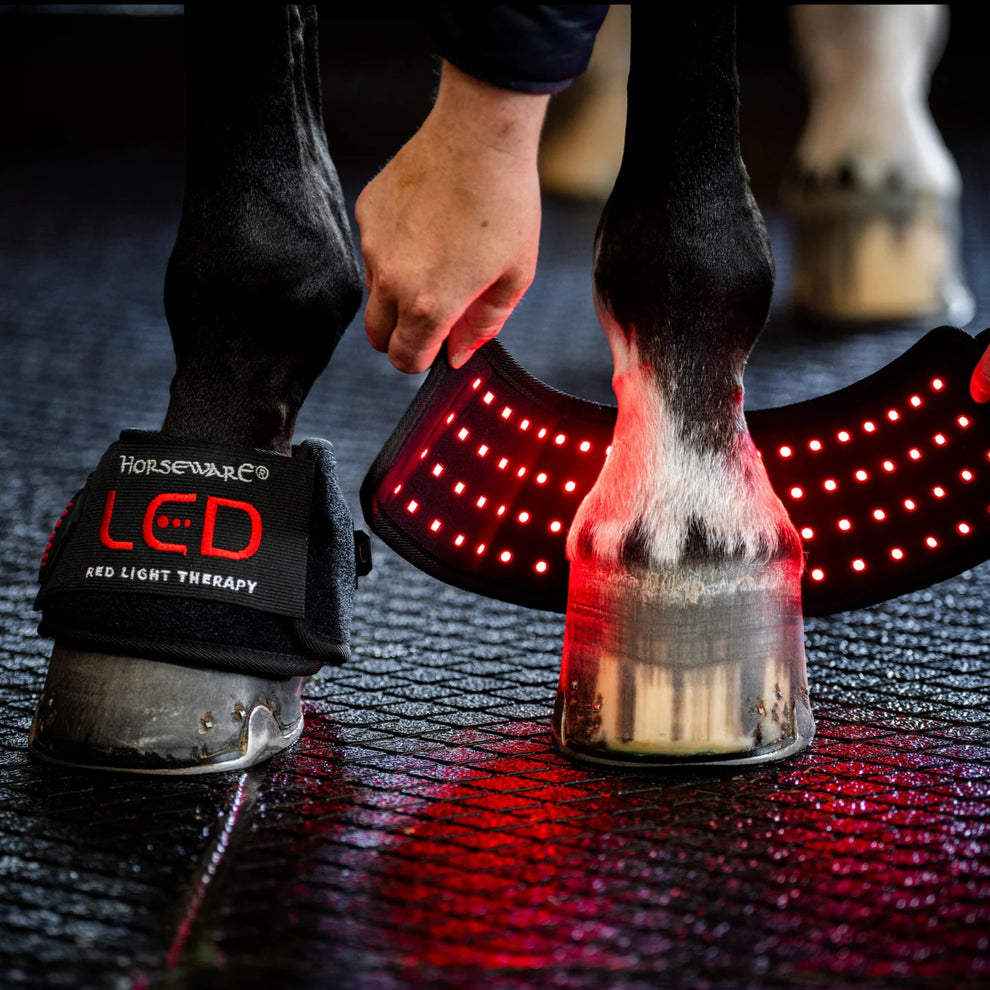 Horseware LED Red Light Therapy Pastern Mini Wraps - PAIRS
