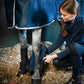 Horseware® Stable Boot Ionic Liner