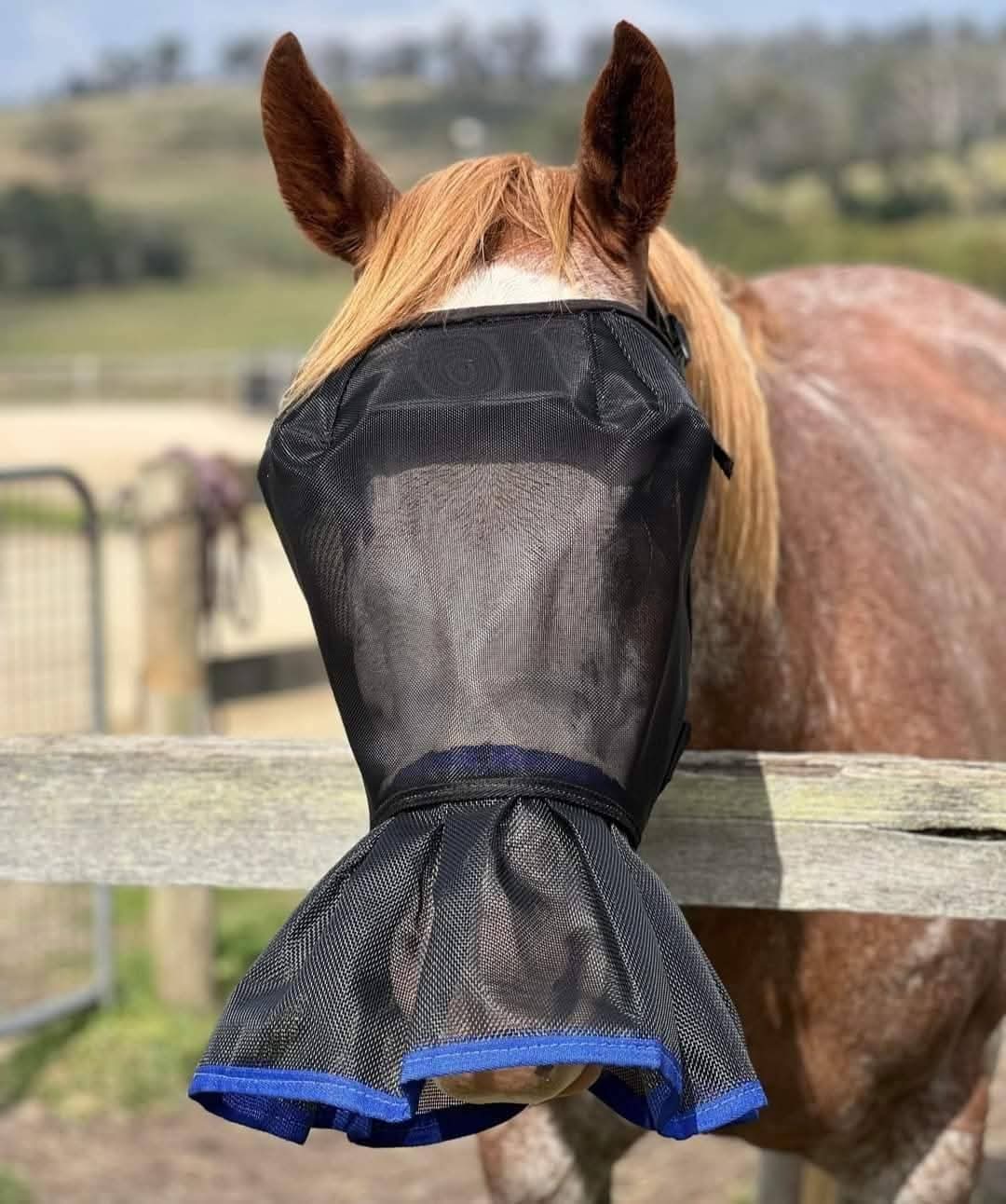 UV PROTECTION 2 PIECE PAIR. Wild Horse Veils With Nose Skirts