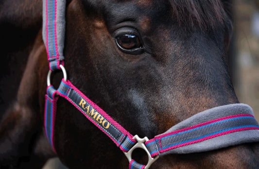 🔖RAMBO PADDED HEADCOLLAR