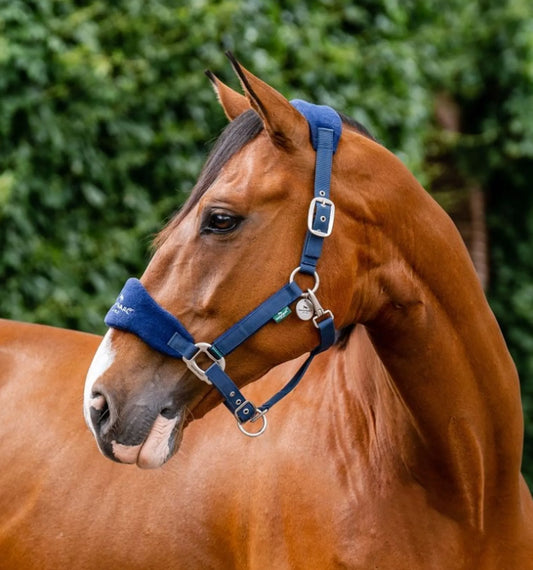 🔖Horseware Signature Grooming Headcollar