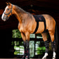 The Horseware® LED Red Light Therapy Pad