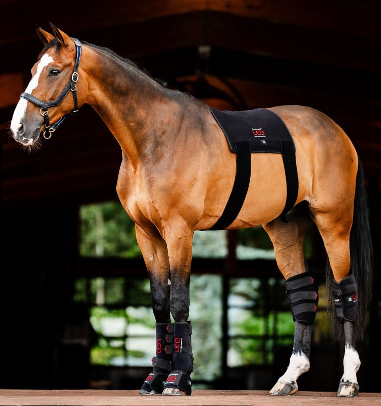 The Horseware® LED Red Light Therapy Pad