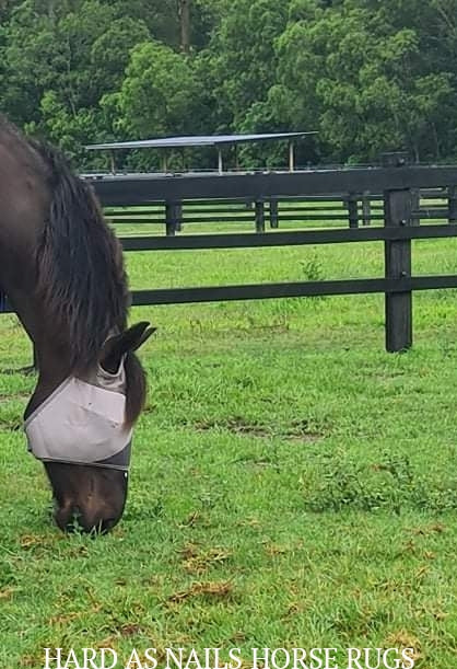 CASHEL CRUSADER & FLY BUSTER FLY MASKS FOR COB, HORSE, WB & DRAFT