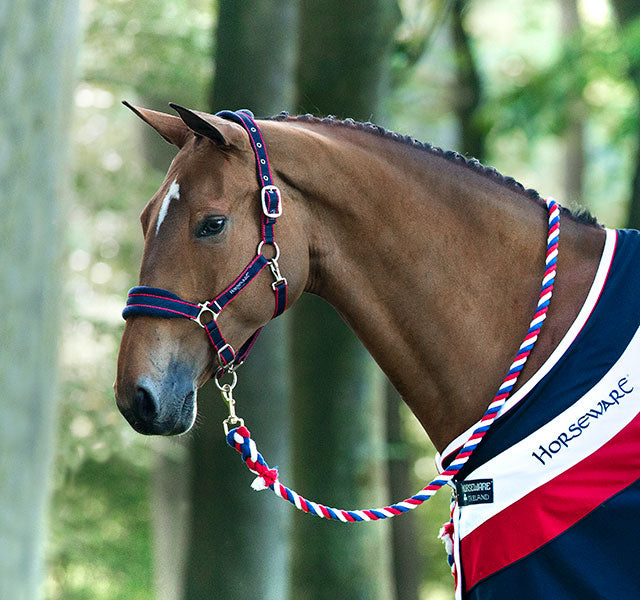 🔖RAMBO PADDED HEADCOLLAR