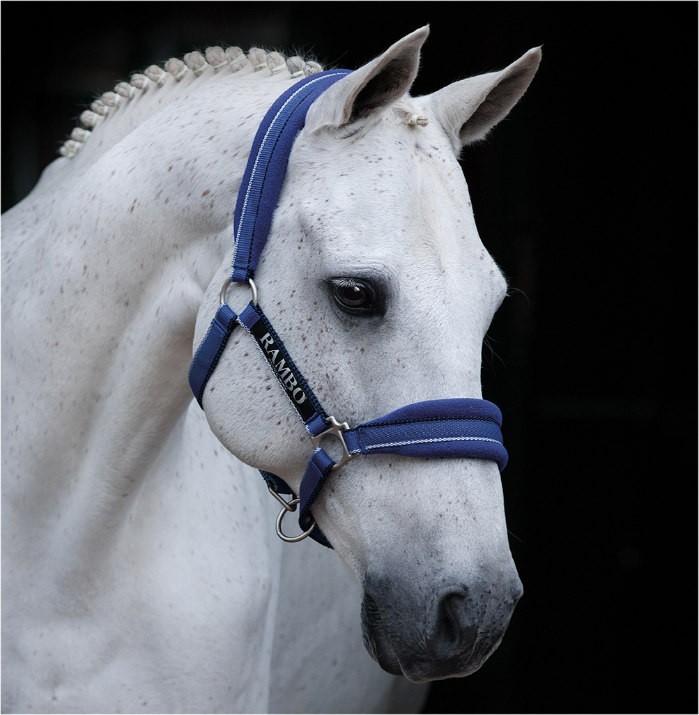 🔖RAMBO PADDED HEADCOLLAR