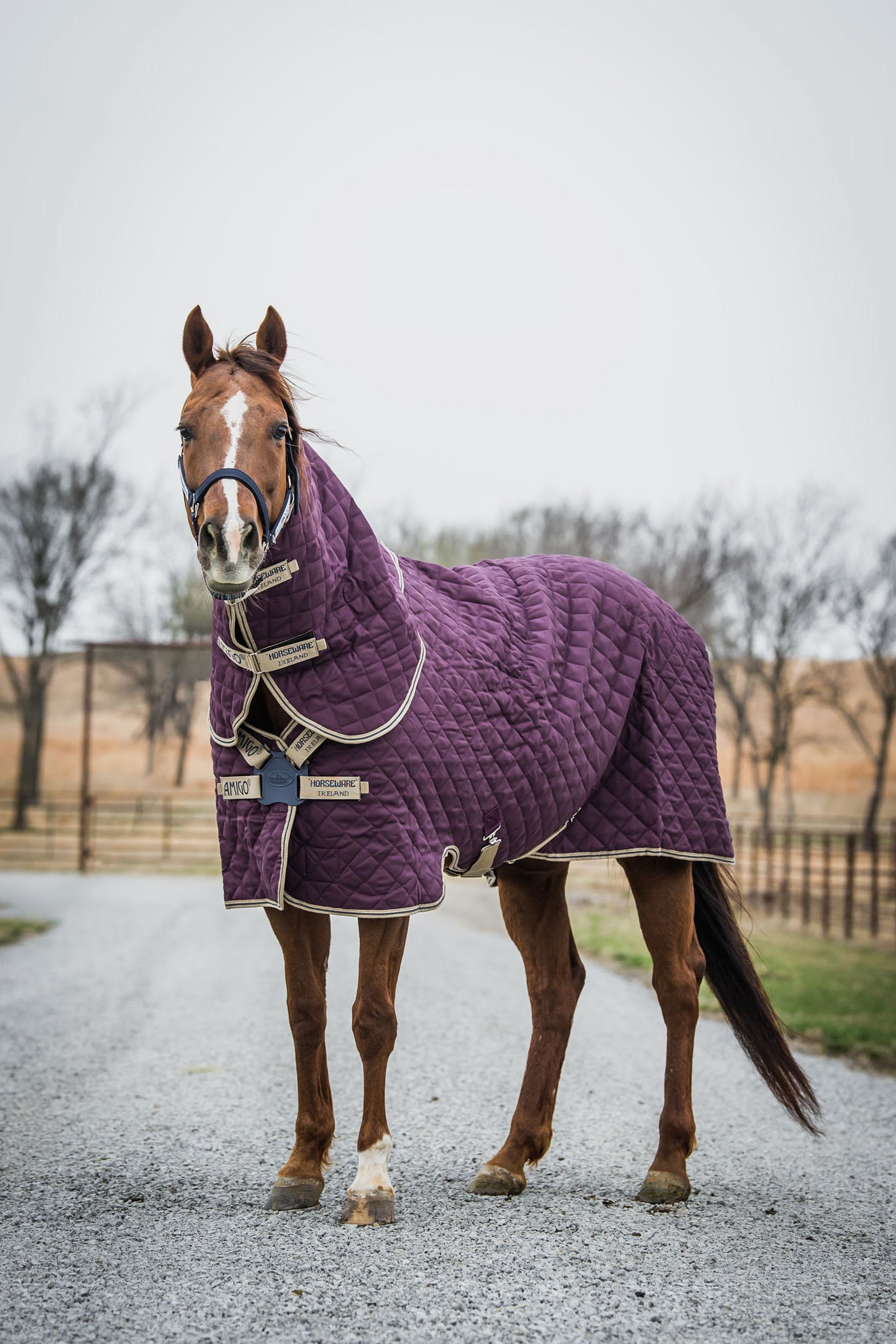 AMIGO QUILTED STABLE PLUS 200G