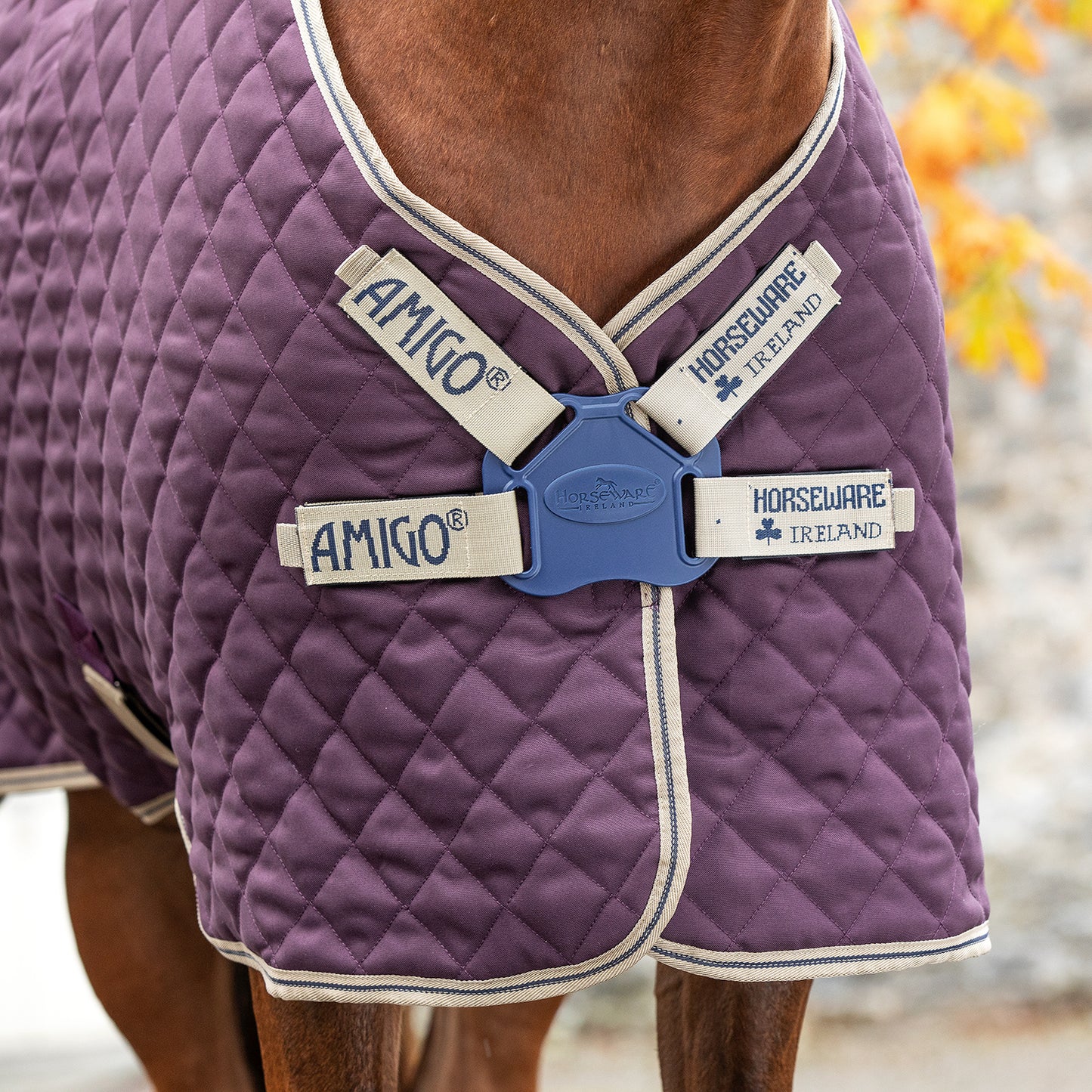 AMIGO QUILTED STABLE PLUS 200G
