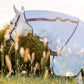 AMIGO XL BUG RUG DISC-FRONT CLOSURE