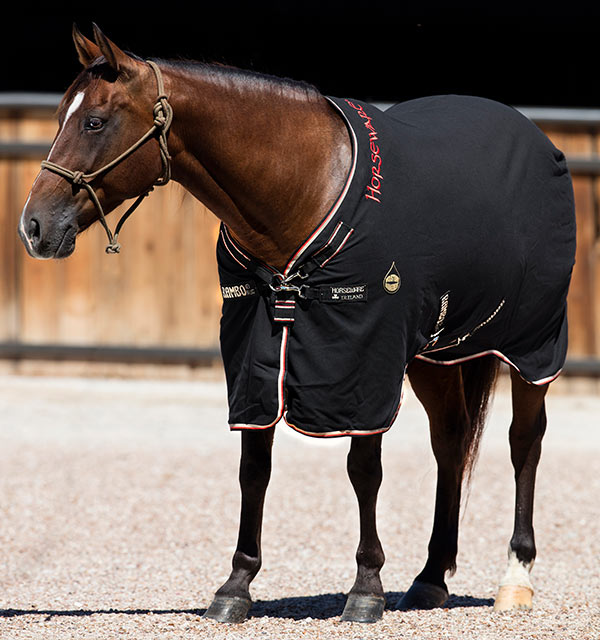 RAMBO HELIX STABLE SHEET DISC-FRONT - MOISTURE MANAGEMENT TECHNOLOGY