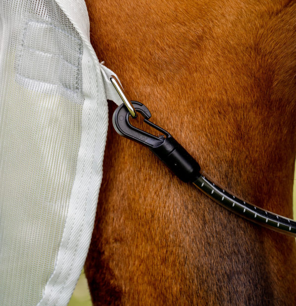 HORSEWARE ® AMIGO ® AmECO COMBI