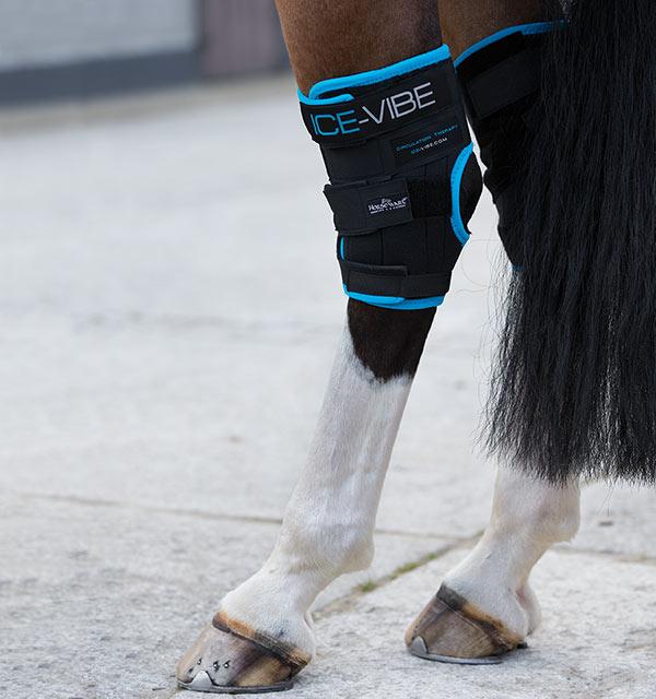 ICE VIBE HOCK BOOTS ZENN EQUINE Hard As Nails Horse Rugs