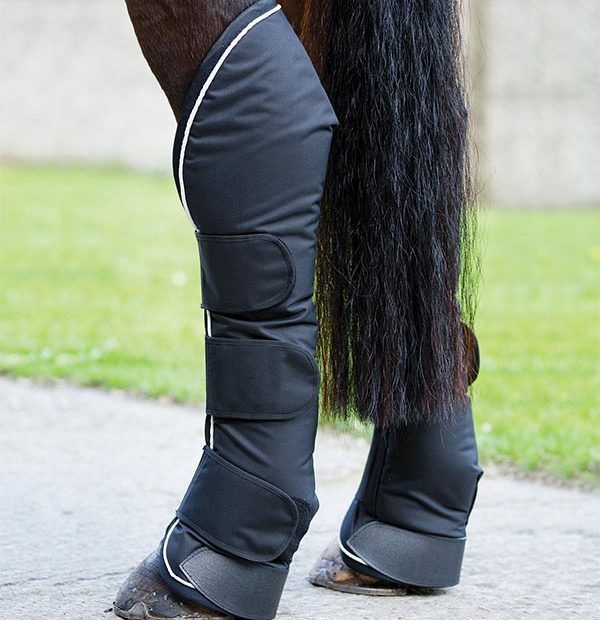 Horse travel hot sale boots australia