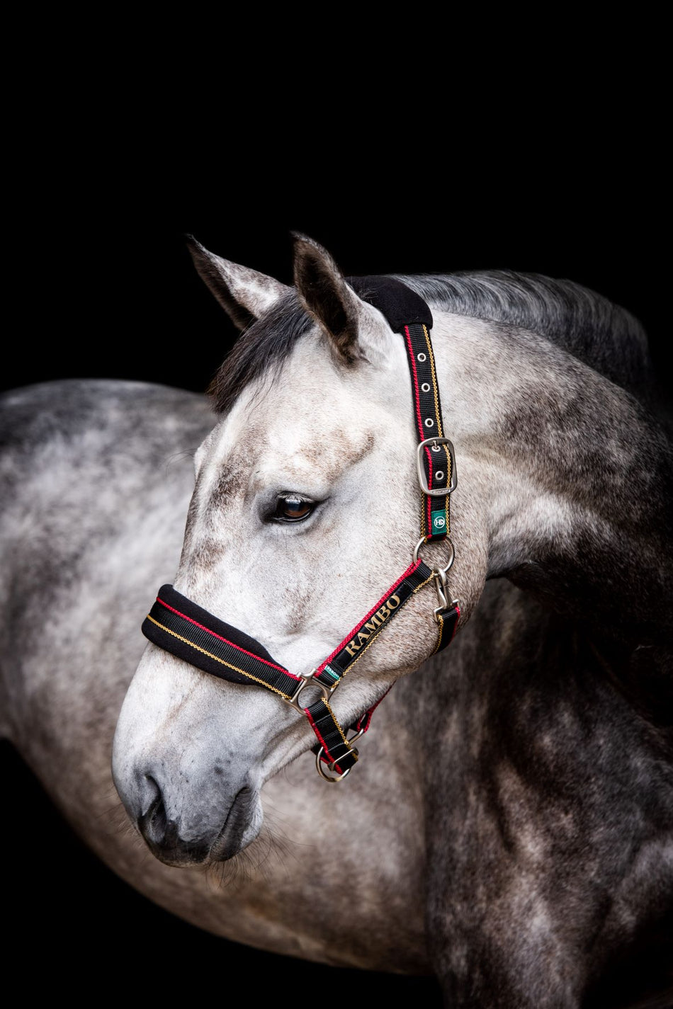 🔖RAMBO PADDED HEADCOLLAR