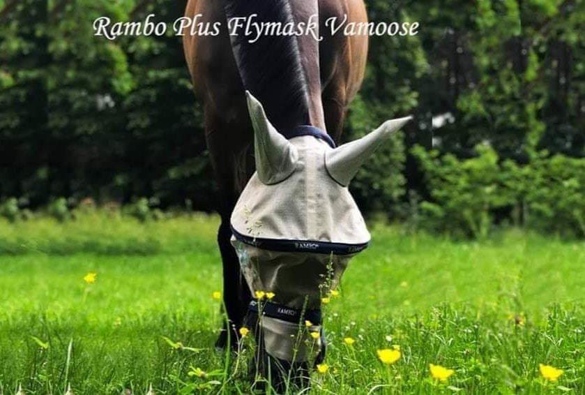 RAMBO VAMOOSE FLYMASK NO FLY ZONE