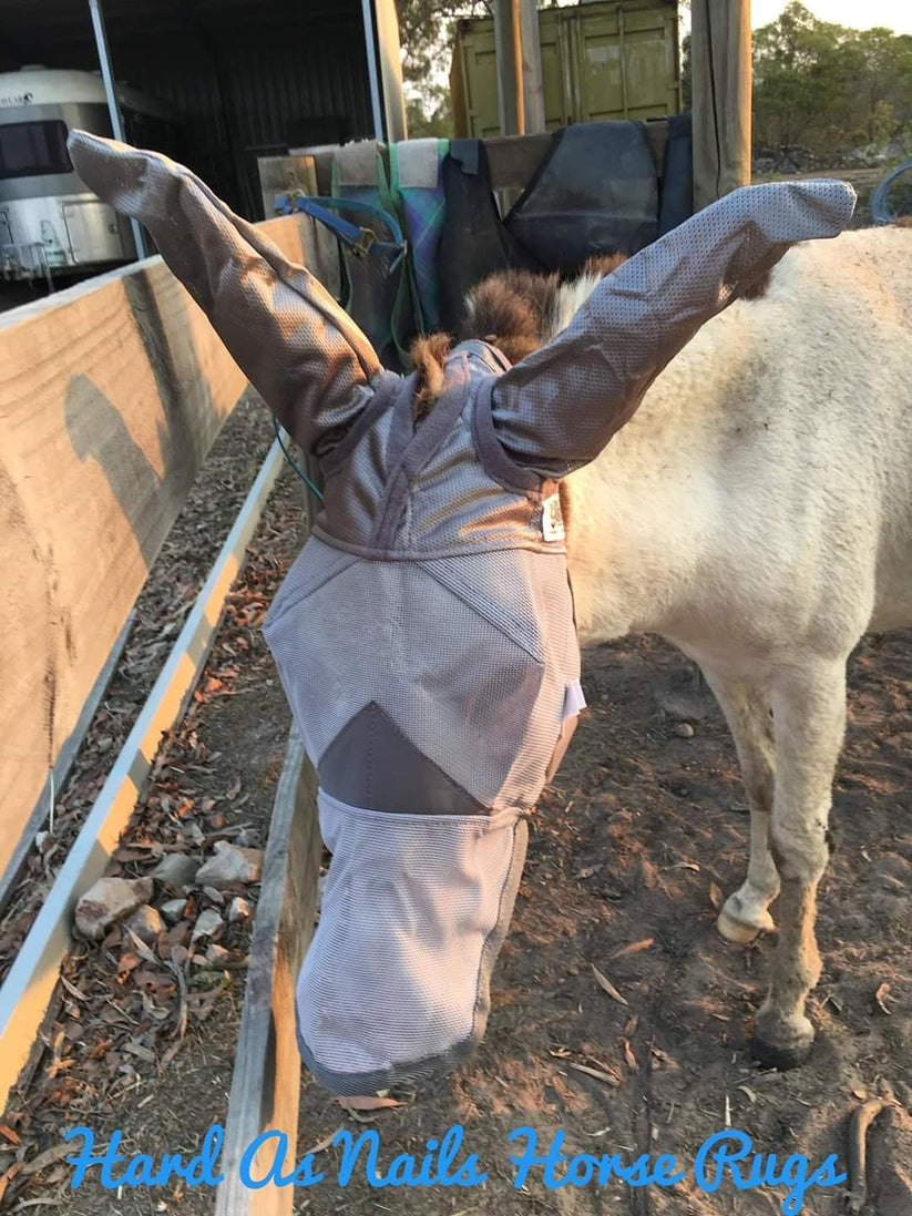 CASHEL CRUSADER & FLY BUSTER FLY MASKS FOR COB, HORSE, WB & DRAFT