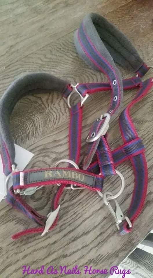 🔖RAMBO PADDED HEADCOLLAR