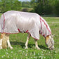 MIO PONY FLY RUG WITH INTERGRATED NECK