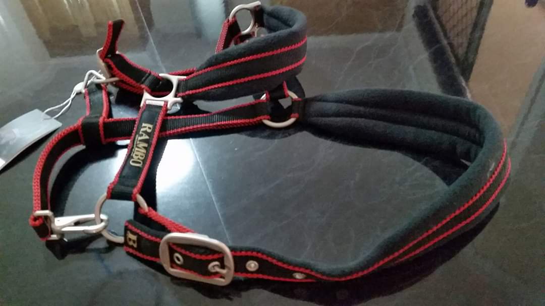 🔖RAMBO PADDED HEADCOLLAR