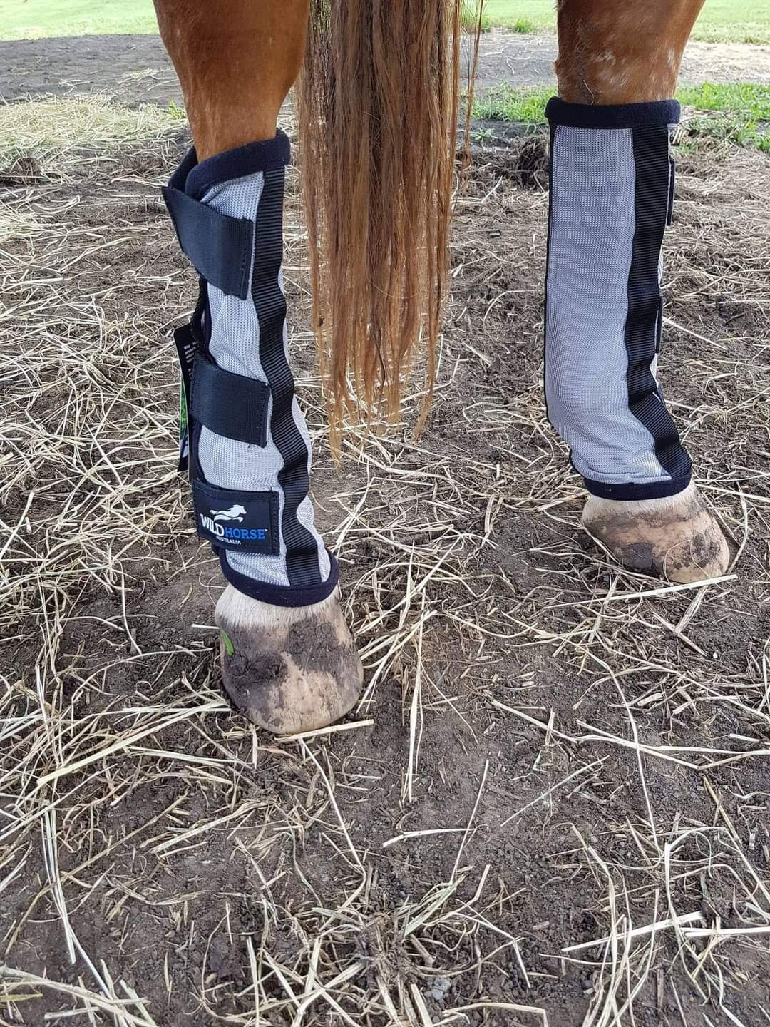 Miniature horse clearance fly boots