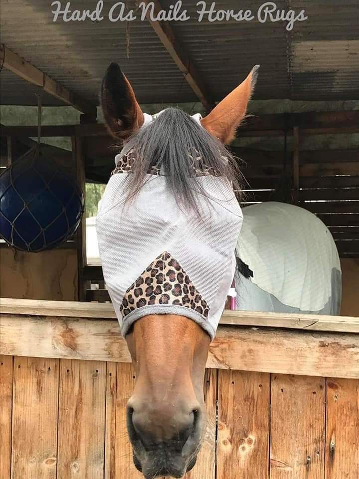 CASHEL CRUSADER & FLY BUSTER FLY MASKS FOR COB, HORSE, WB & DRAFT