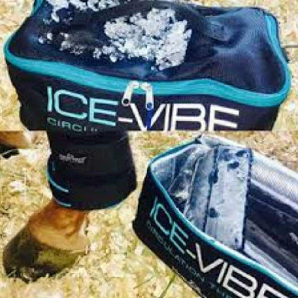 ICE-VIBE INSULATED COOLER CARRY BAG