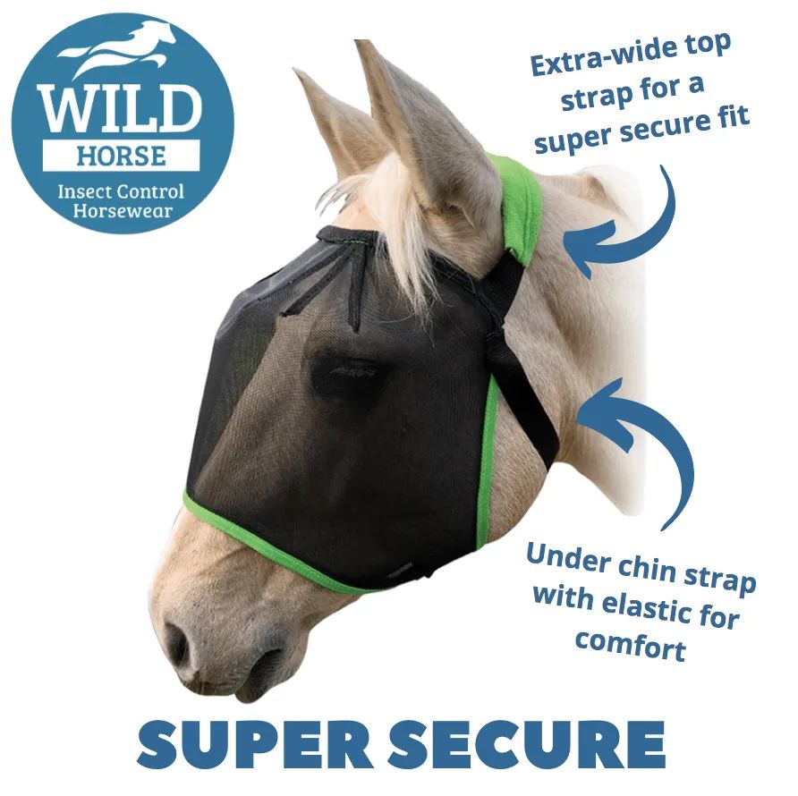 WILD HORSE AUS TRIPLE DART VEILS