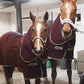 AMIGO QUILTED STABLE PLUS 200G