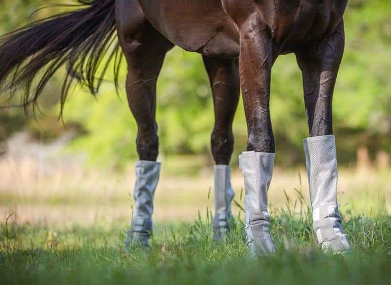 Rambo Tech-Fit Fly Boots