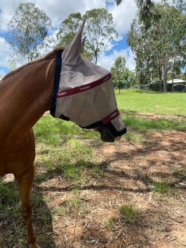 RAMBO VAMOOSE FLYMASK NO FLY ZONE