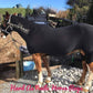 RAMBO SLINKY FULL BODY SUIT