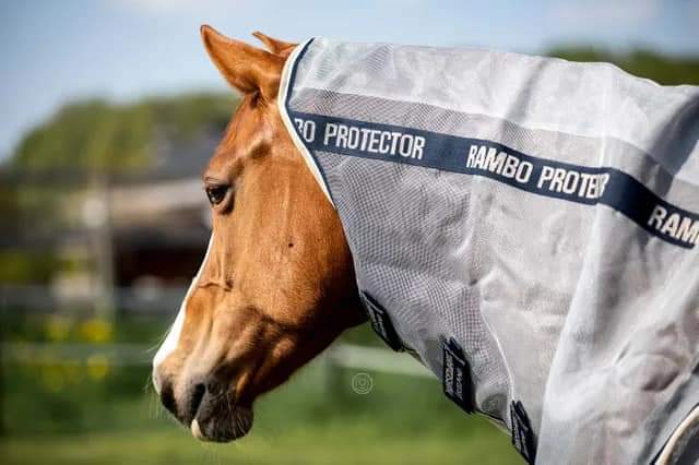 RAMBO PROTECTOR FLYSHEET