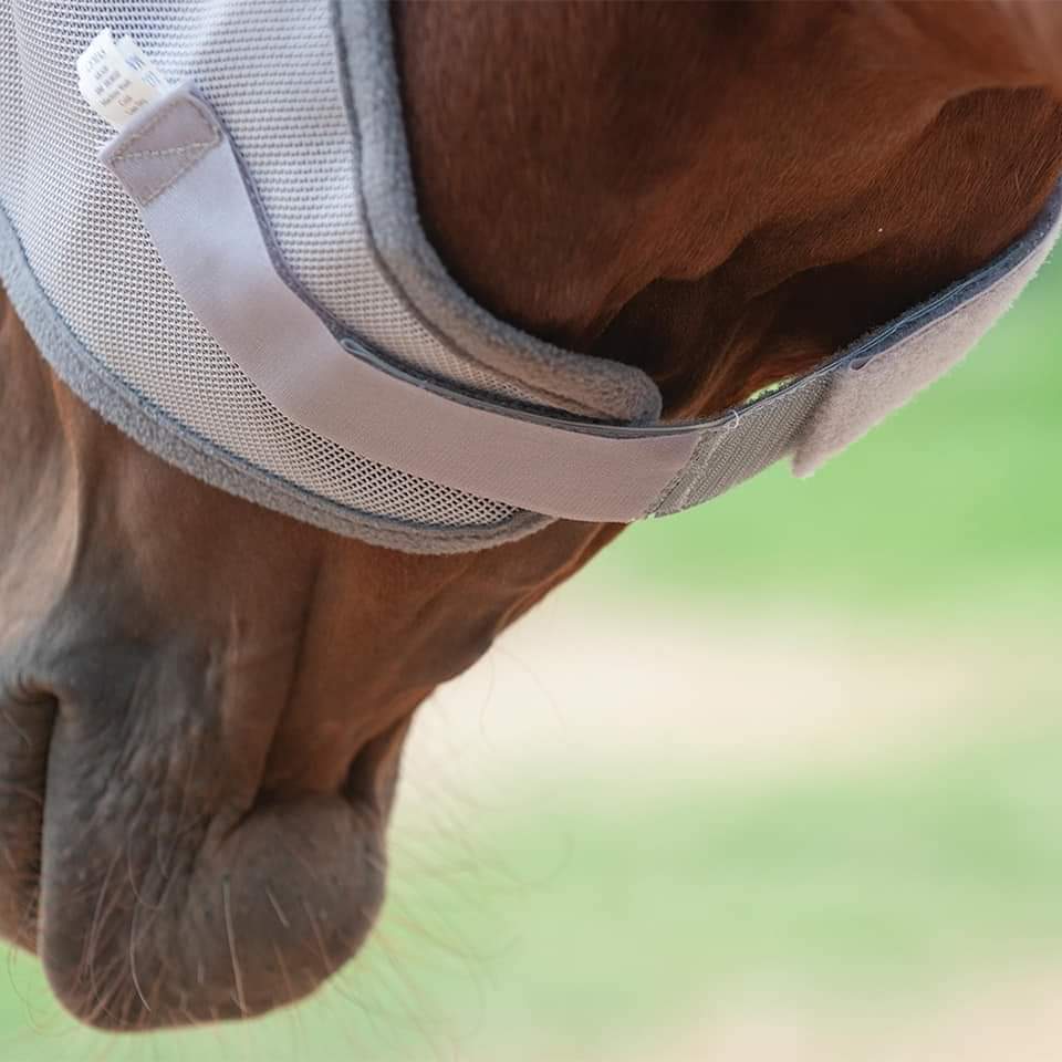 CASHEL CRUSADER & FLY BUSTER FLY MASKS FOR COB, HORSE, WB & DRAFT