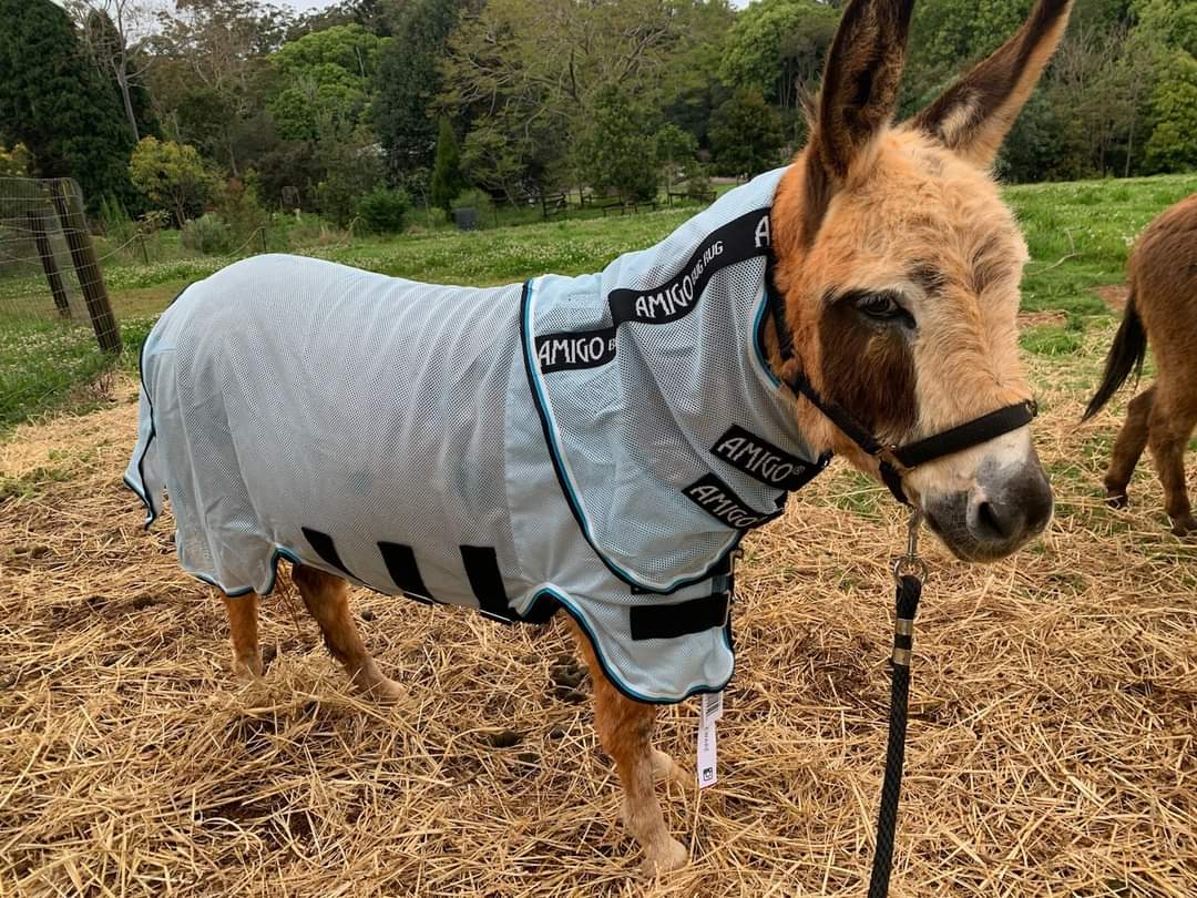 AMIGO PETITE BUG RUG - A Fly Sheet With Belly Protector For The Little Guys!