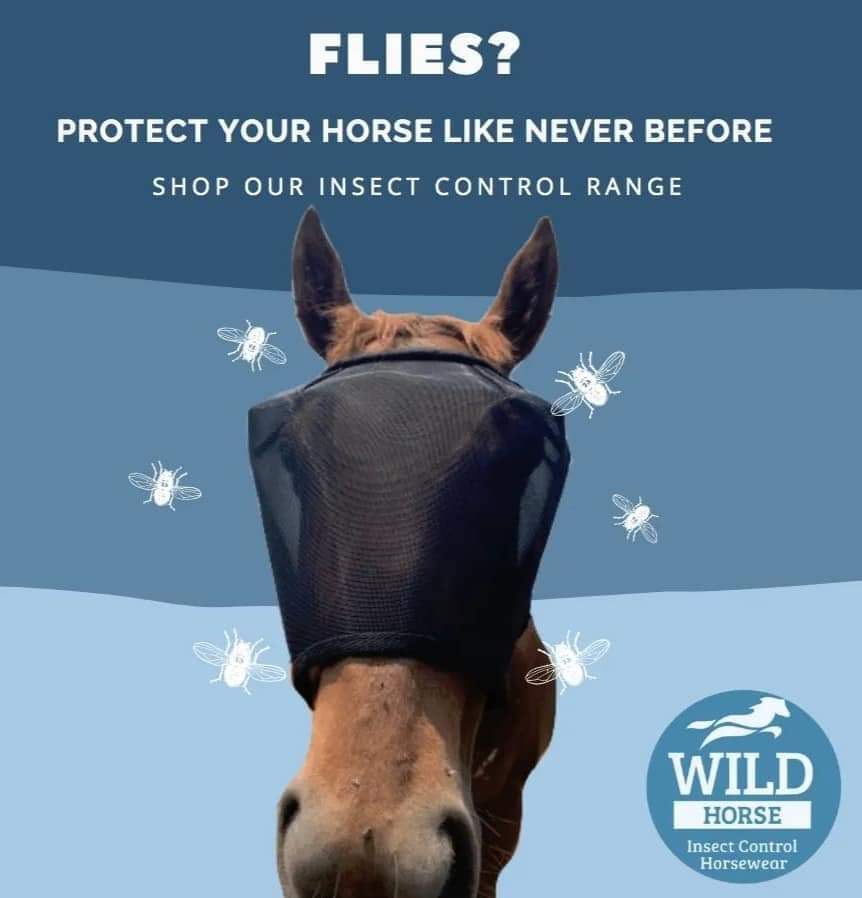 WILD HORSE AUS TRIPLE DART VEILS