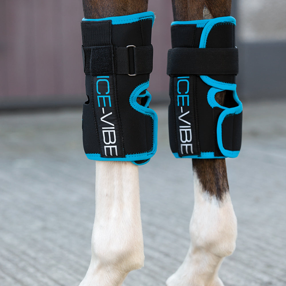 Horse hot sale knee boots