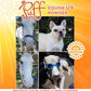 PUFF EQUINE UV SUN PROTECTION POWDER