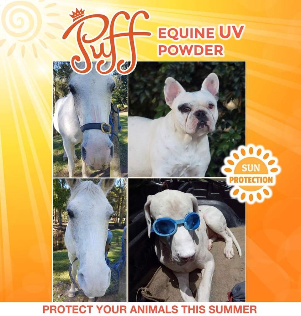 PUFF EQUINE UV SUN PROTECTION POWDER