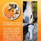 PUFF EQUINE UV SUN PROTECTION POWDER