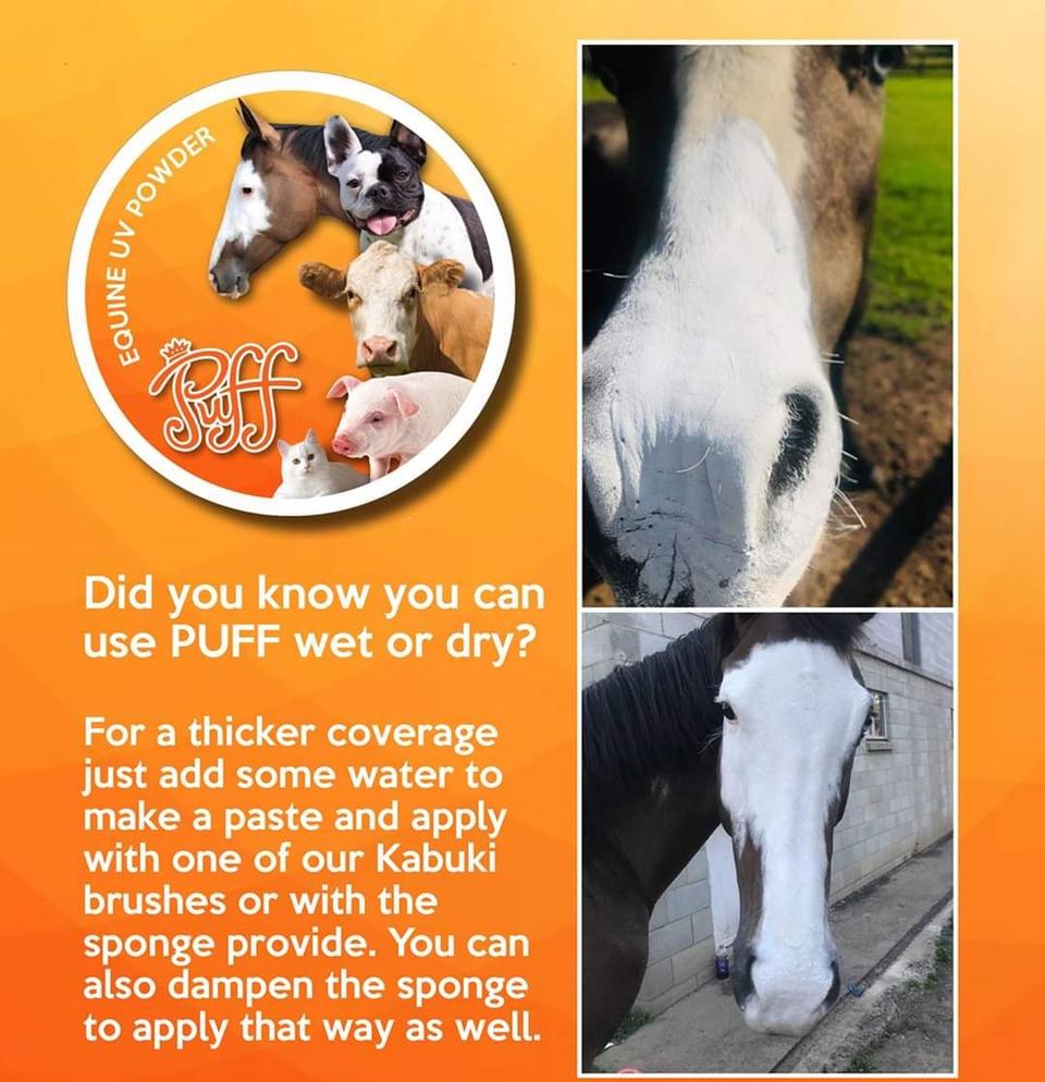 PUFF EQUINE UV SUN PROTECTION POWDER