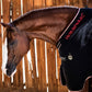 RAMBO HELIX STABLE SHEET DISC-FRONT - MOISTURE MANAGEMENT TECHNOLOGY