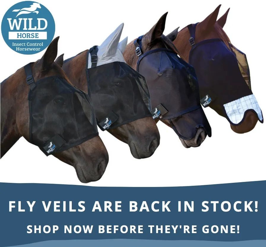 WILD HORSE AUS TRIPLE DART VEILS