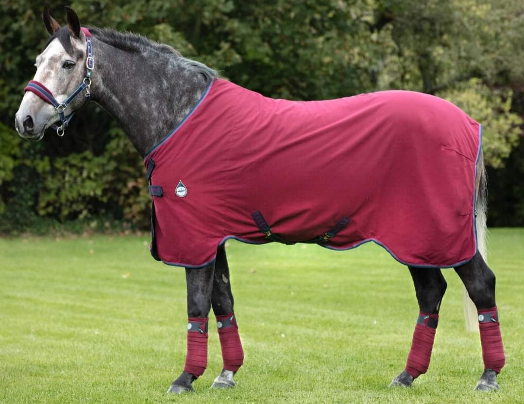 RAMBO HELIX STABLE SHEET DISC-FRONT - MOISTURE MANAGEMENT TECHNOLOGY