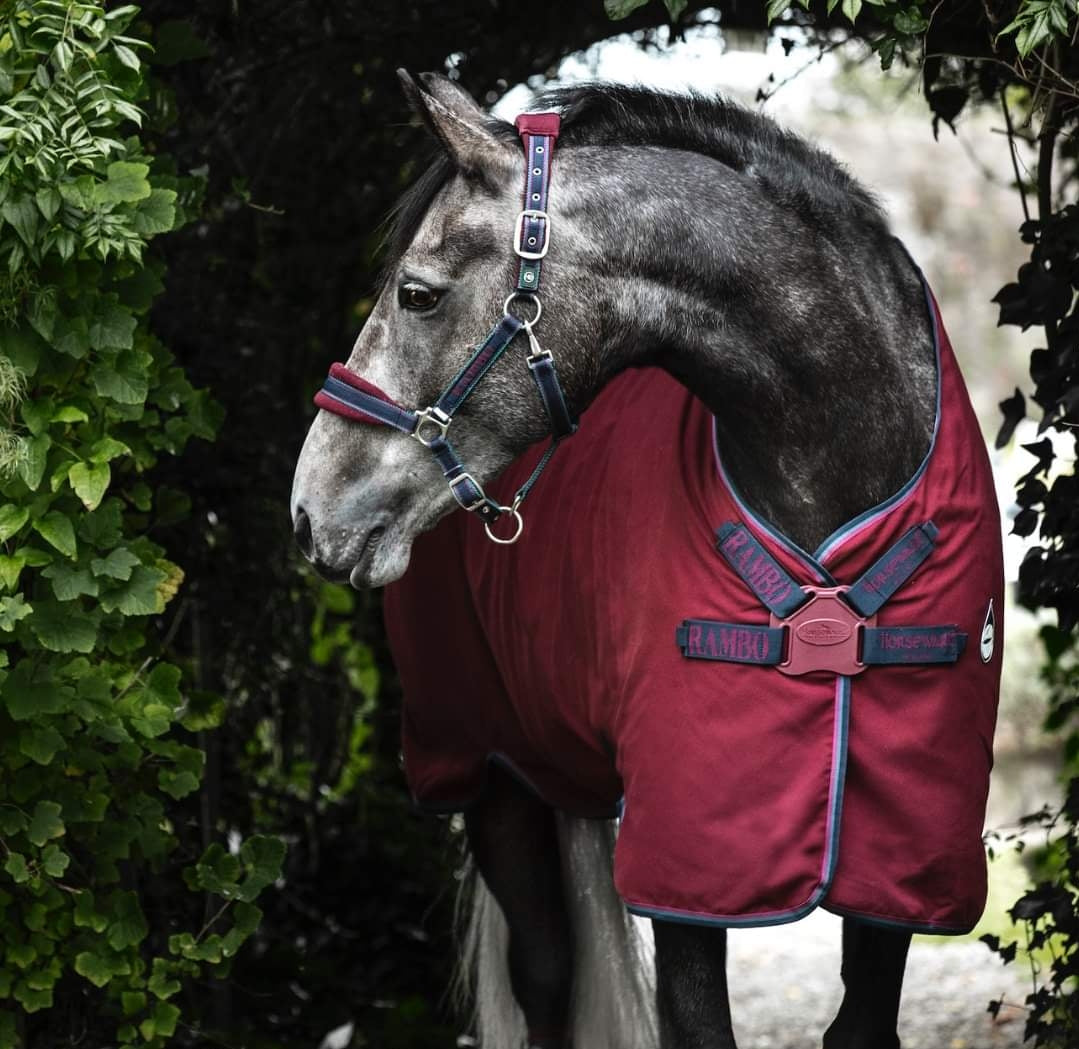 RAMBO HELIX STABLE SHEET DISC-FRONT - MOISTURE MANAGEMENT TECHNOLOGY