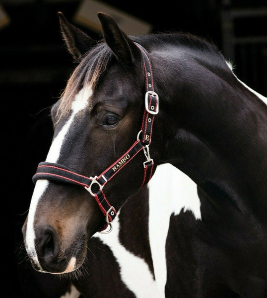 🔖RAMBO PADDED HEADCOLLAR