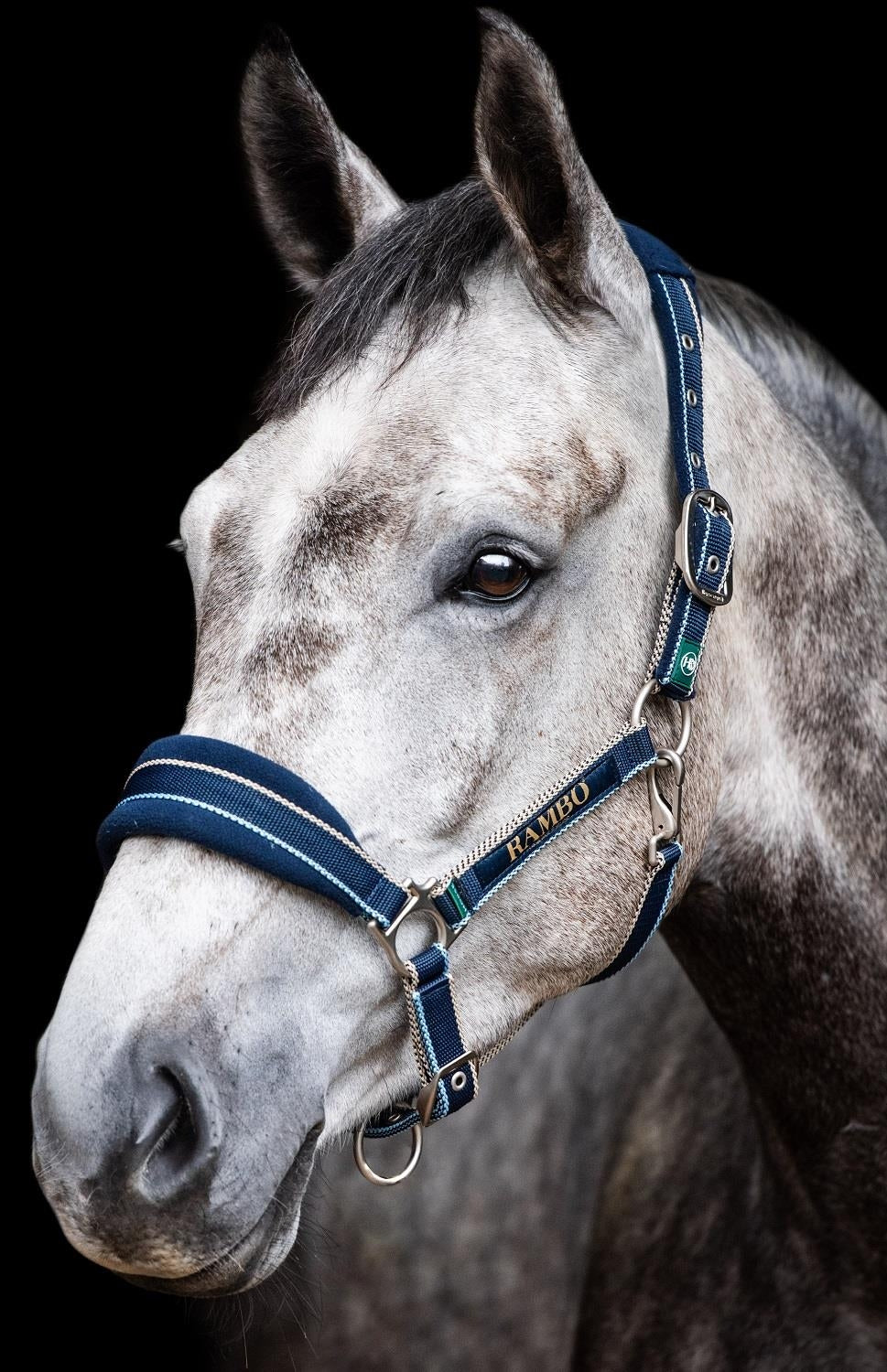 🔖RAMBO PADDED HEADCOLLAR