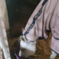 MIO PONY FLY RUG WITH INTERGRATED NECK
