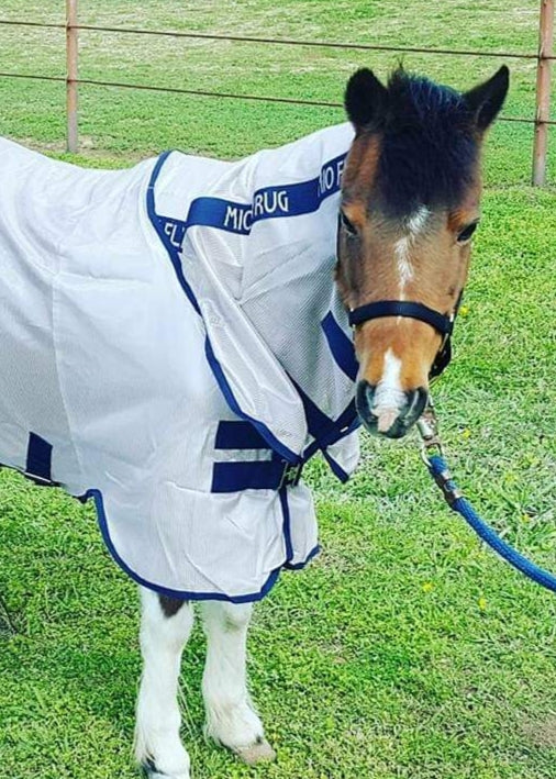 MIO PONY FLY RUG WITH INTERGRATED NECK