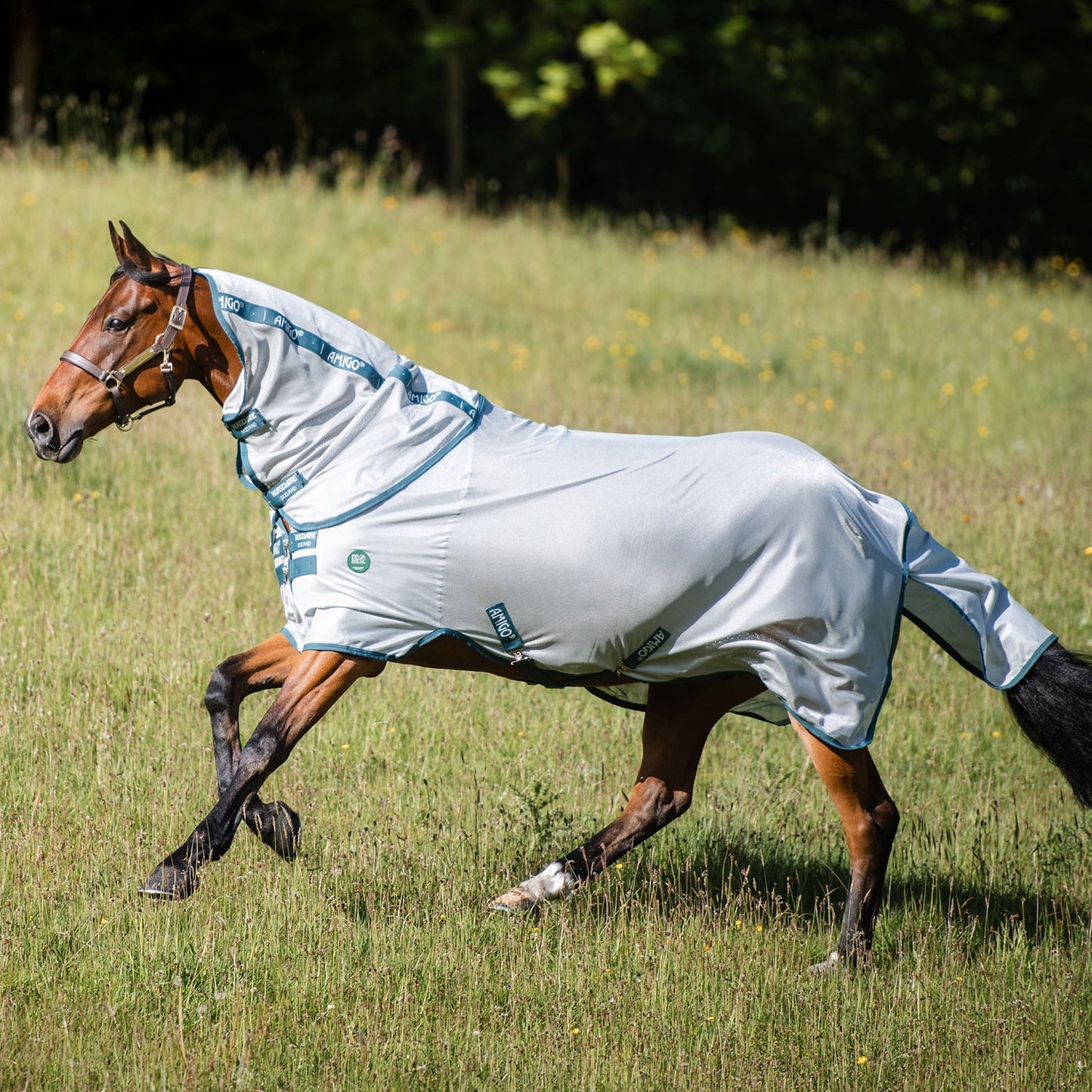 Amigo®AmECO Bug Rug