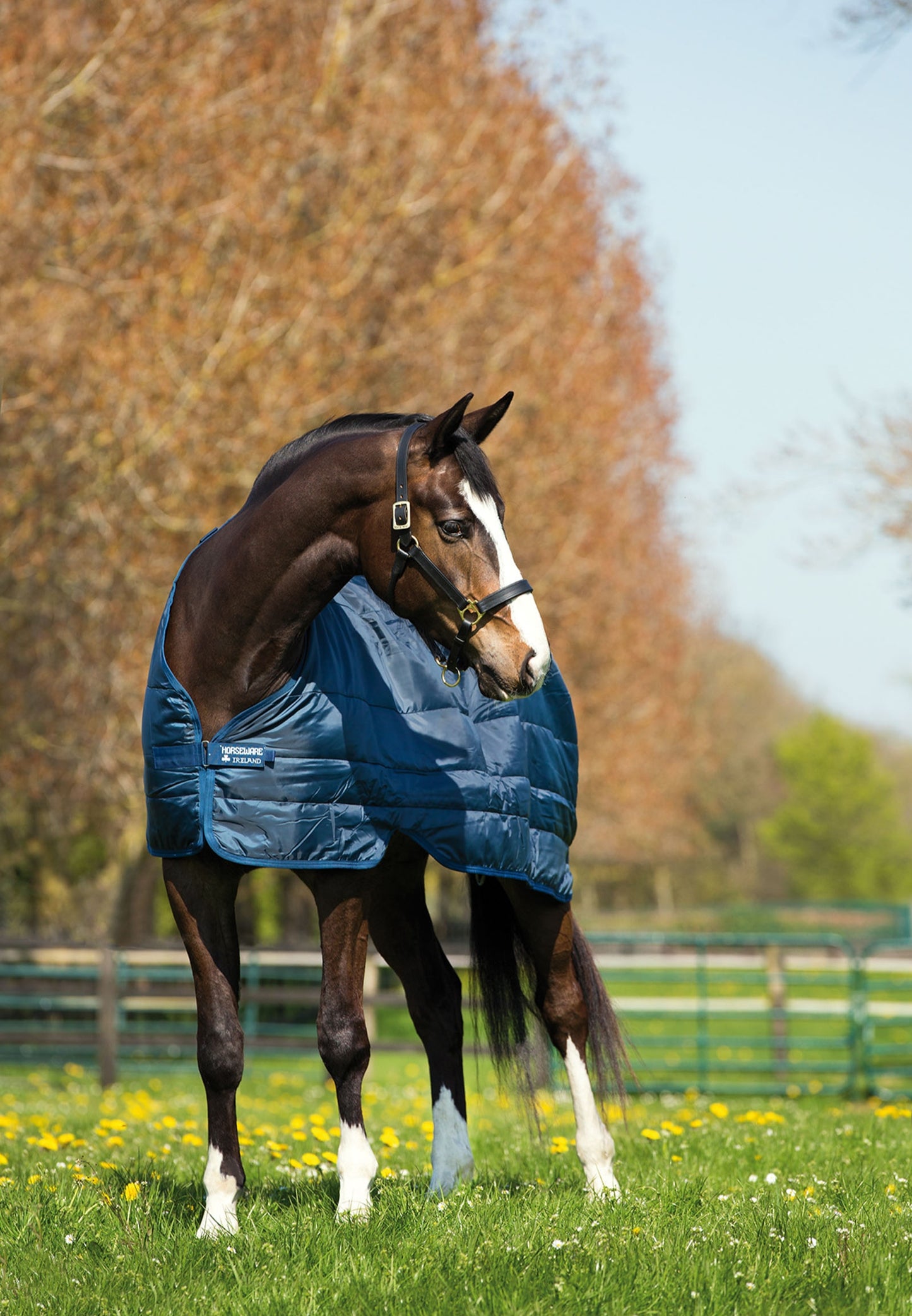 HORSEWARE LINER 100G